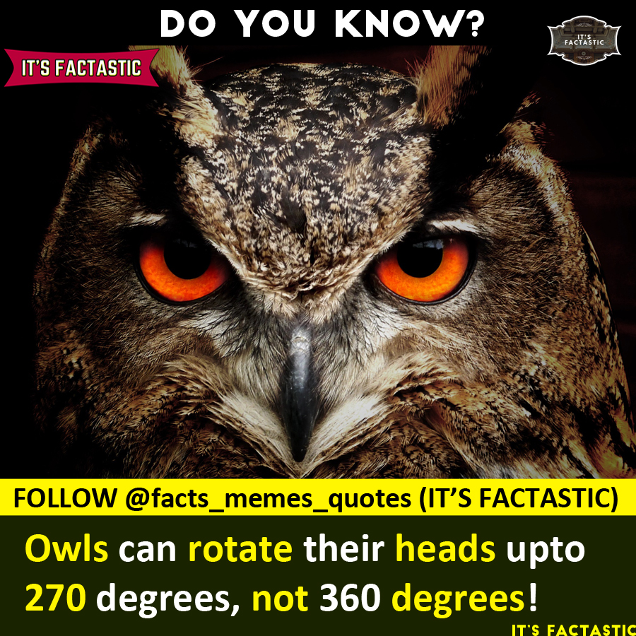 Instagram Post By : - @facts_memes_quotes (IT'S FACTASTIC)