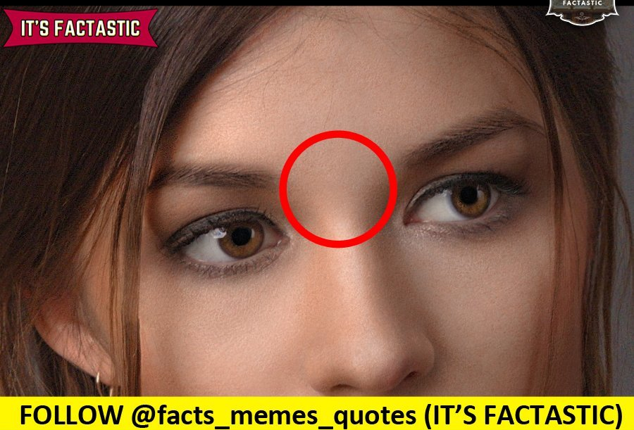 Glabella,eyebrows,face,face hair.